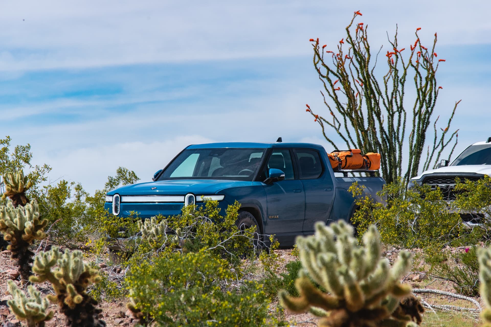 Rivian R1T hiding in the cactus. Sonoran Desert vibes.