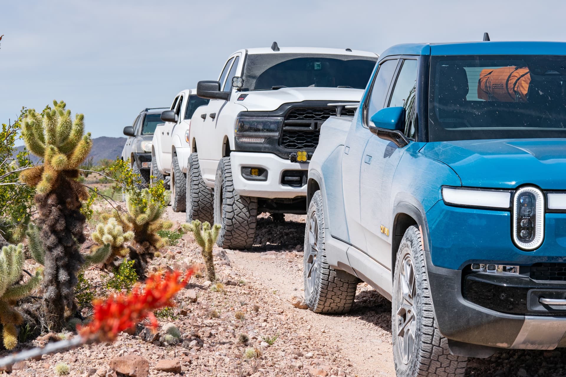 Truck lineup on desert trail