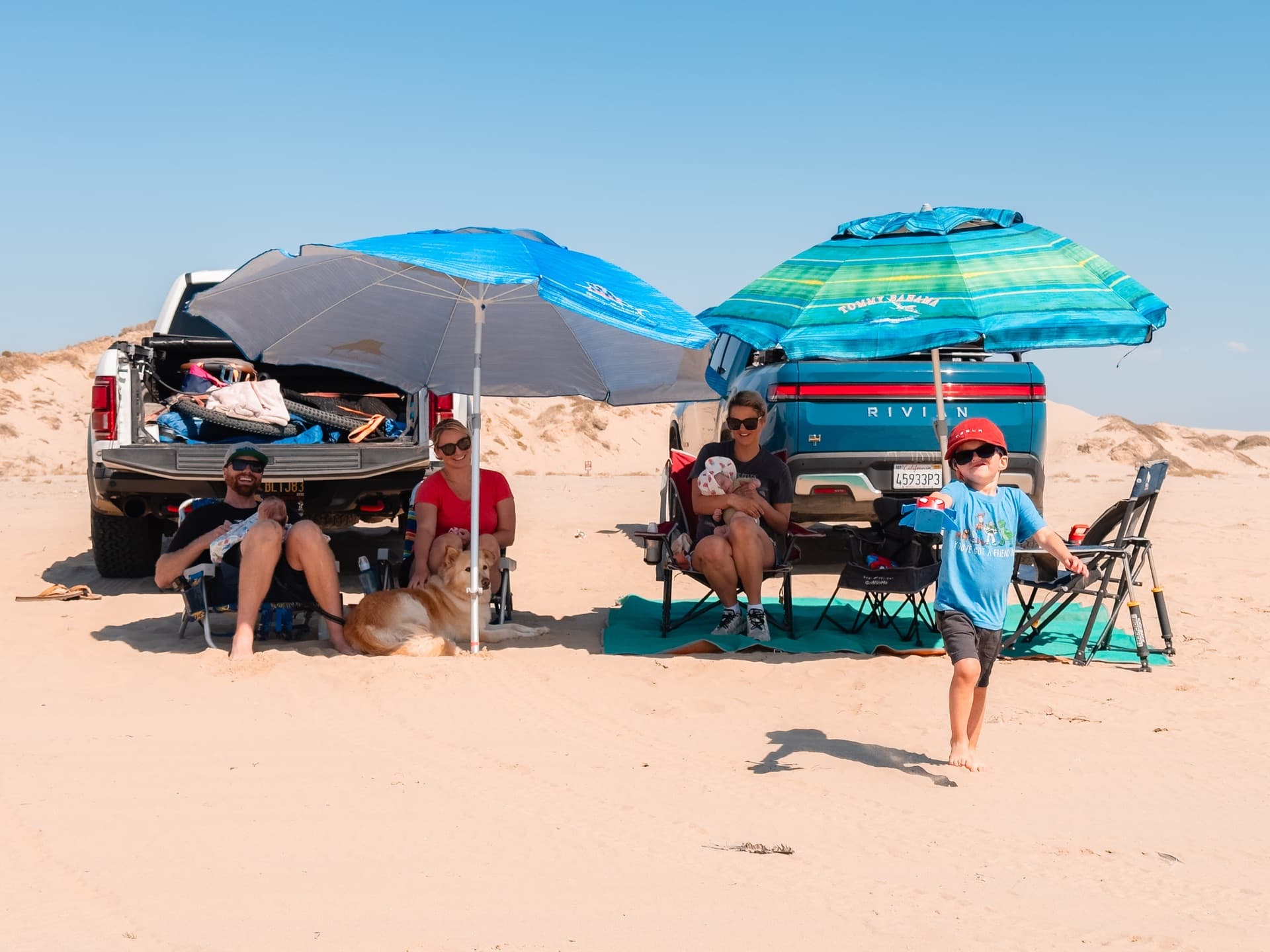 Families at beach camp with trucks and dog